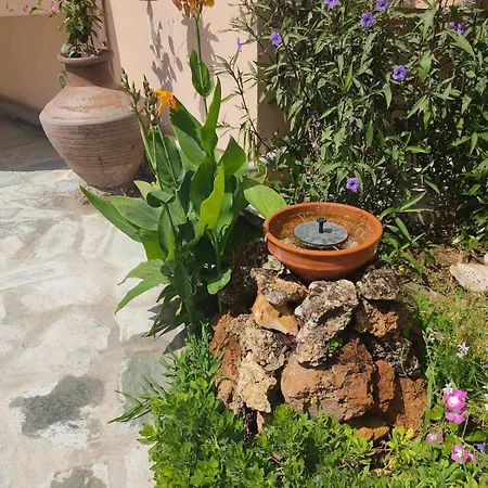 Apartment Dream House *