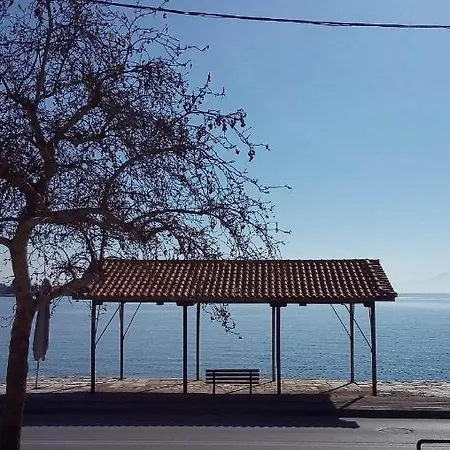 Dream House Appartamento *