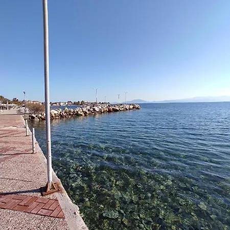 Dream House Apartament Agria